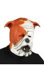 Masker bulldog