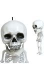 Mini hangdecoratie skelet 15 cm halloween