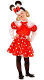 Minnie mouse kleding kind