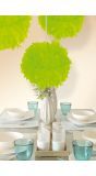 Neon groene Pompom