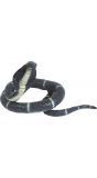 Neppe cobra slang 180cm