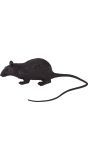 Neppe rat 15cm