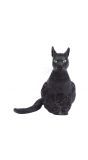 Neppe zwarte kat 35cm