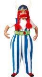 Obelix outfit kind