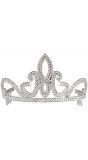 Prinsesjes tiara zilver