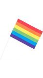 Regenboog papieren zwaaivlaggen gaypride 6 stuks