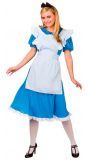 Retro Alice in wonderland jurk