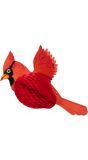 Rode kardinaalvogel honingraat