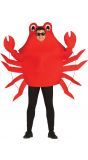 Rode krab carnaval outfit