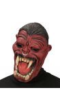 Rood Hellraiser masker