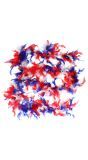 Rood wit blauw veren mix boa
