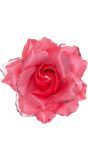 Roze roos haarspeld