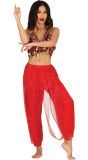 Scarlet Belly Dance Pants - Oasis Queen