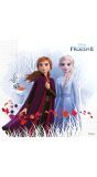 Servetten eco frozen 2 feestje 20 stuks