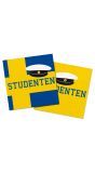 Servetten studentenfeestje 20 stuks