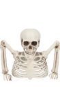 Skelet Groundbreaker Halloween Decoratie
