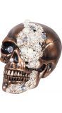Skelet schedel met parels