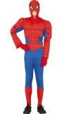 Spiderman outfit kind