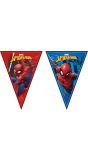 Spiderman team verjaardag vlaggenlijn 2 meter