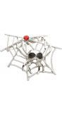 Spinnenweb broche