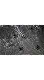 Spinnenweb halloween met 6 spinnen 100 gram