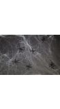 Spinnenweb halloween met 6 spinnen 500 gram