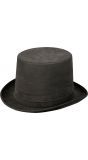 Steampunk hoge hoed deluxe grijs