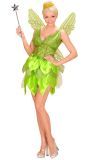 Tinkerbell carnaval