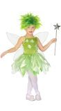 Tinkerbell meisjes carnaval