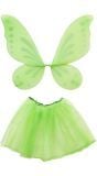 Tinkerbell tutu en vleugels