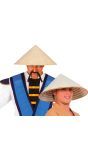 Traditionele Vietnamese hoed