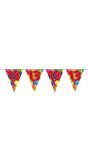 Verjaardag 13 jaar balloons vlaggenlijn 10 meter