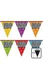 Verjaardagsvlaggetjes 100 jaar