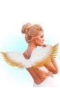 Vleugels wit engel