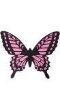 Vlinder vleugels zwart roze
