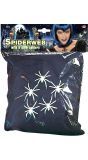 Wit Spinnenweb met 5 glow in the dark spinnen