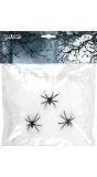 Wit spinrag met spinnen halloween