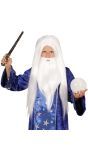 Witte wizard pruik