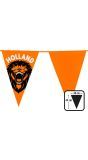 XXL Hollandse leeuw oranje vlaggenlijn 6 meter
