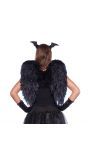 Zwarte engelen vleugels 50cm