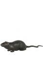 Zwarte neppe rat decoratie