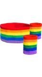 Zweetbandjes set regenboog