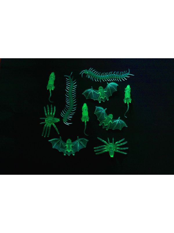 10 Glow in the Dark insecten