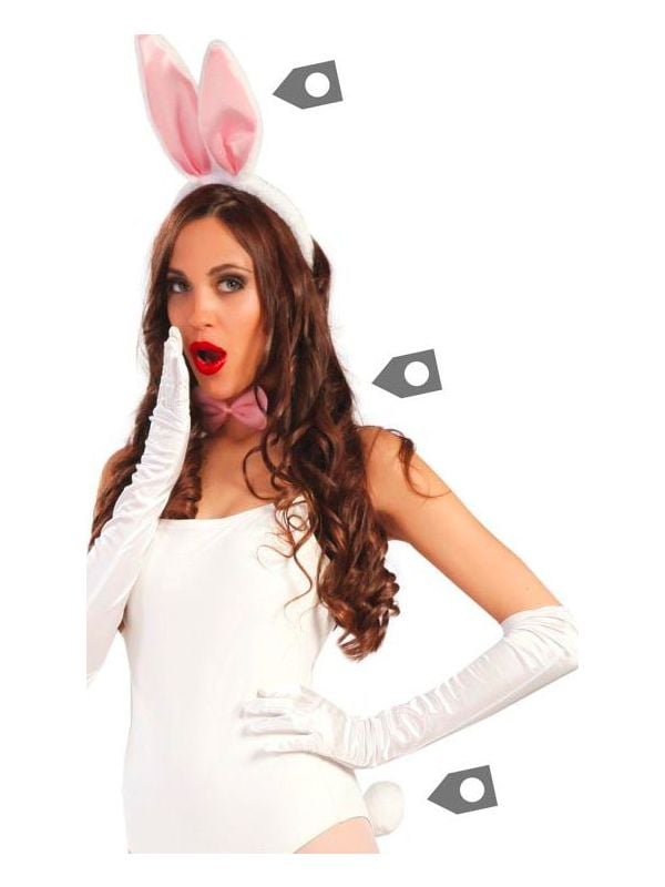 Accessoire set bunnygirls