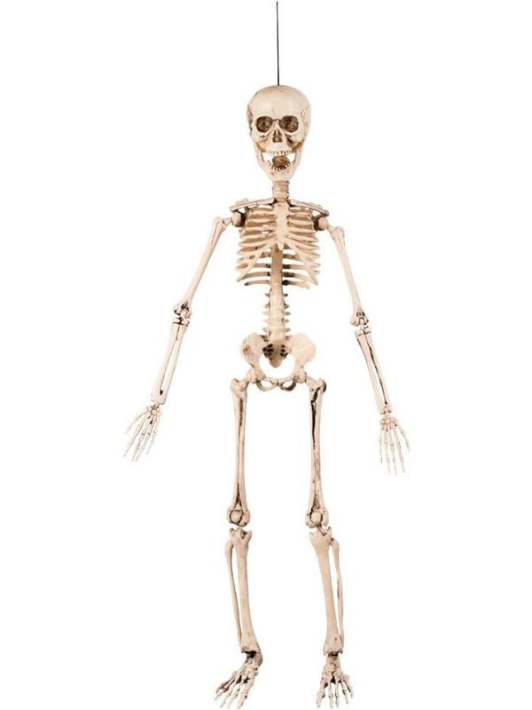 Bewegende skelet decoratie halloween