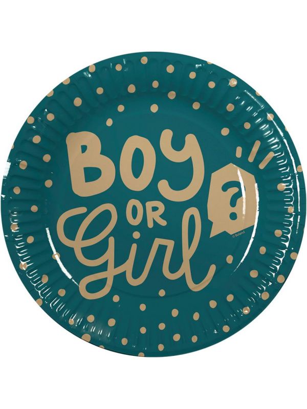 Boy or girl gender reveal papieren bordjes 10 stuks