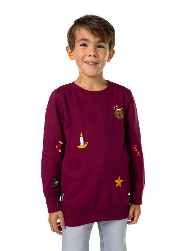 BOYS X-Mas Icons - Burgundy Sweater Jongens Opposuits