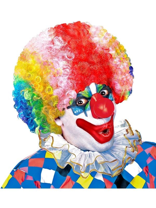 Clown pruik met krullen meerkleurig