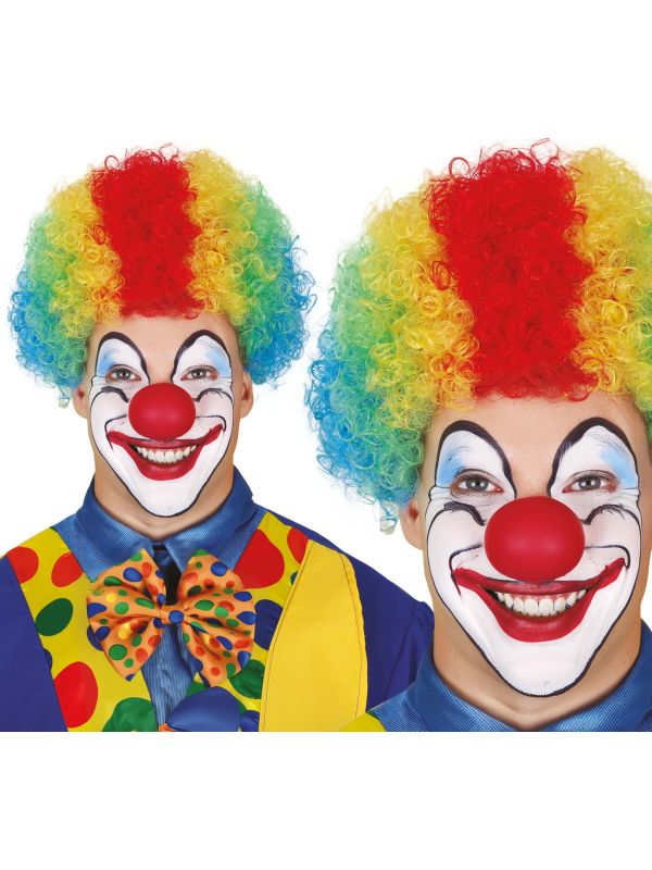 Clownspruik vrolijke kleuren