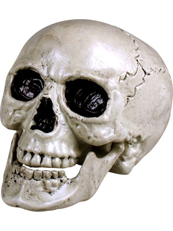 Decoratie schedel met beweegbare kaak